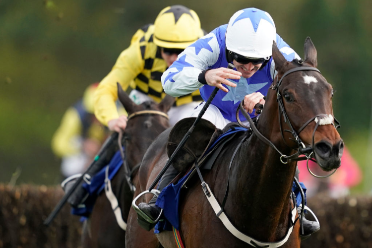 KEMBOY winning the Coral Punchestown Gold Cup at Punchestown in Naas, Ireland.