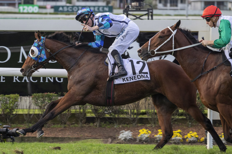 Kenedna winning the Hardy Bro Jeweller Doomben Cup