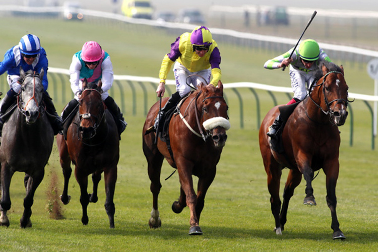 Keystroke winning the Connaught Access Flooring Abernant Stakes (Group 3)