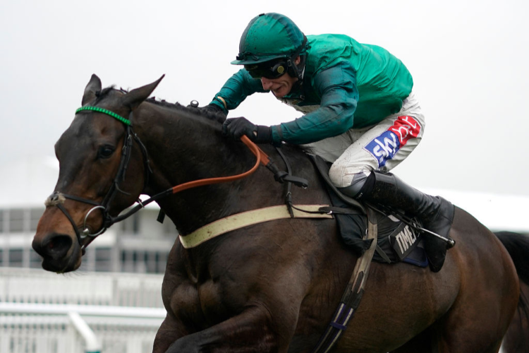 Cheltenham Cheltenham