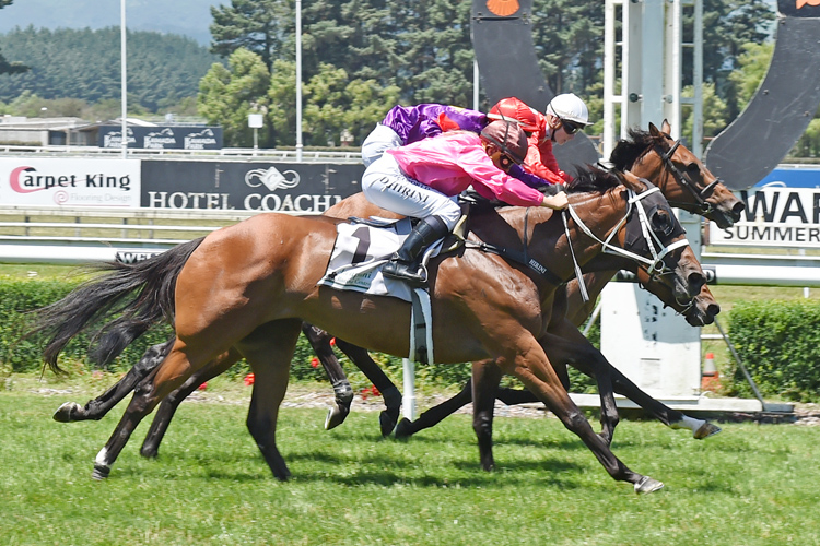 Killarney(inner) winning the Nz Real Estate Hcp