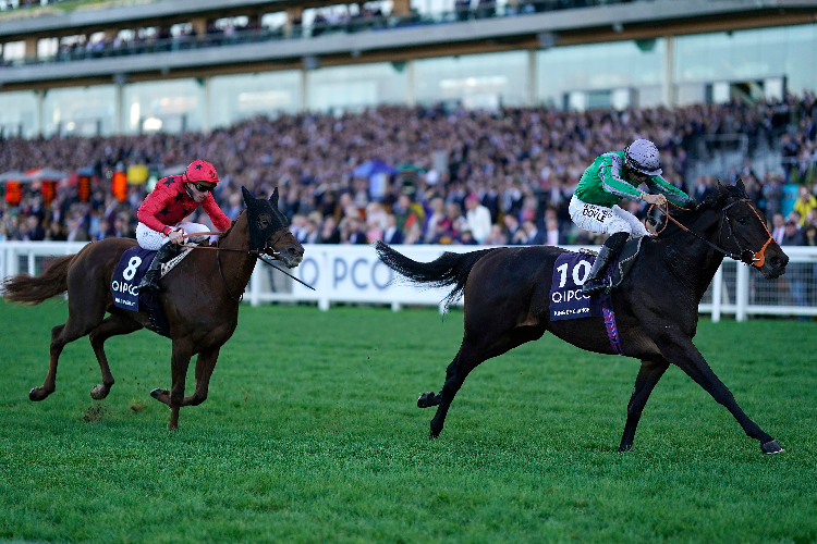 KING OF CHANGE winning the Queen Elizabeth II Stakes at Ascot in Ascot, England.