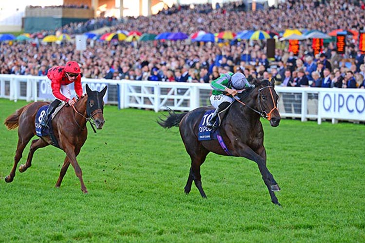 King Of Change winning the Queen Elizabeth II Stakes (Group 1) (Sponsored By Qipco) (Str)