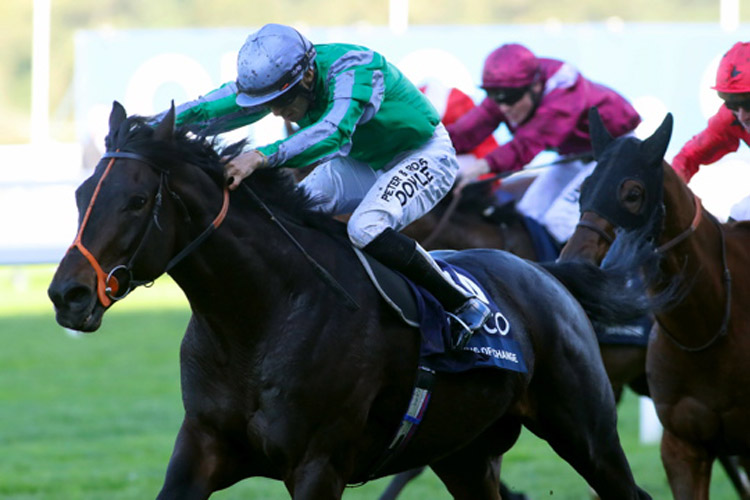 King Of Change winning the Queen Elizabeth II Stakes (Group 1) (Sponsored By Qipco) (Str)