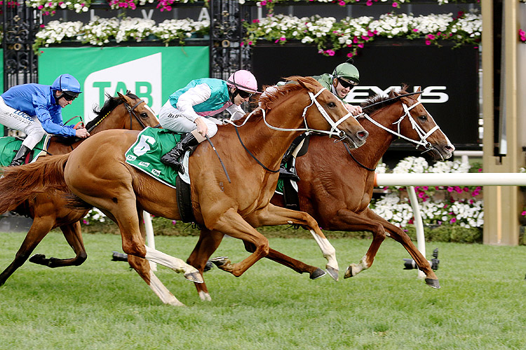 Kings Will Dream winning the Tab Turnbull Stakes