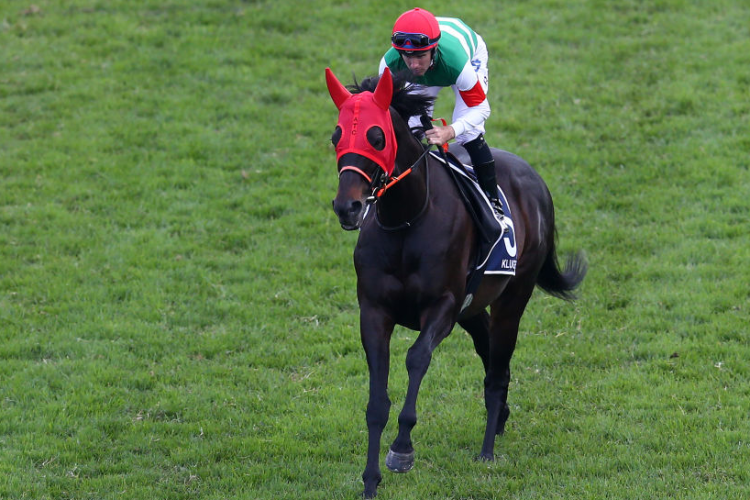 KLUGER running in the Longines Queen Elizabeth Stakes during the Championships Day 2 at Royal Randwick in Sydney, Australia.