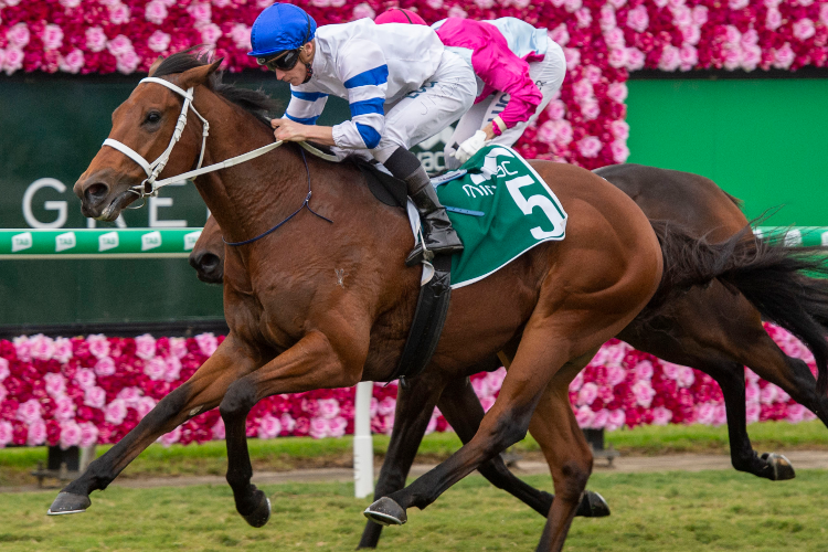 KOLDING winning the Ascot Green Queensland Guineas