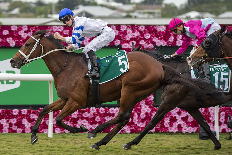 Kolding winning the Ascot Green Queensland Guineas