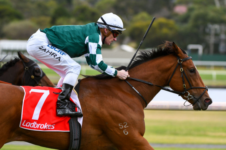 KOOWEERUP winning the Ladbrokes Hcp during Melbourne Racing at Sandown Hillside in Melbourne, Australia.