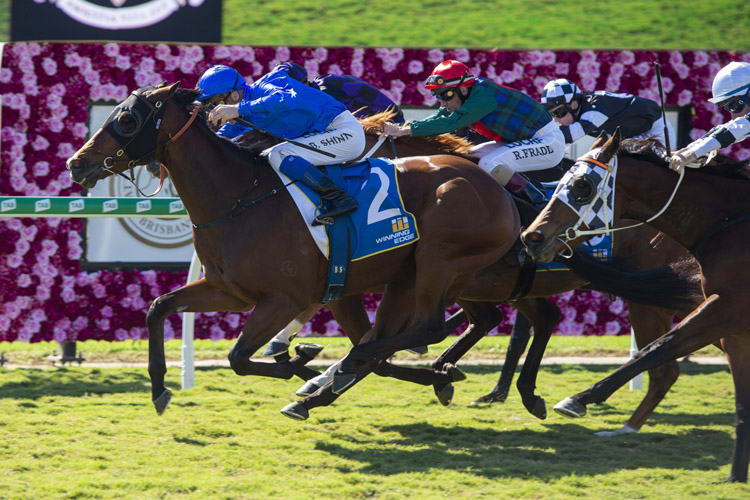 Kordia winning the Winning Edge Presentation Stks