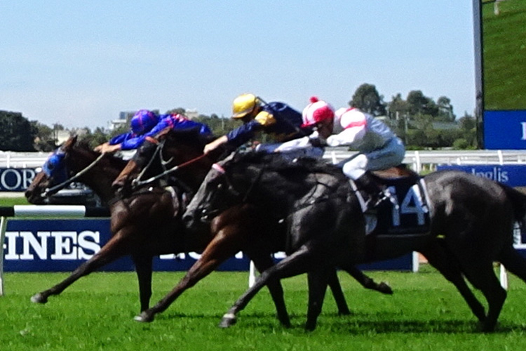 Krone and Damien Oliver win Darby Munro