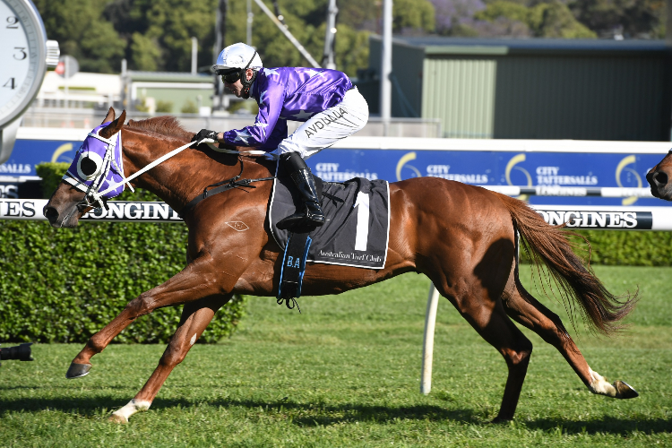 KUBRICK winning the Bondi Stakes.