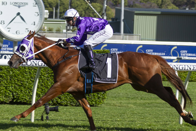 Kubrick winning the Bondi Stakes