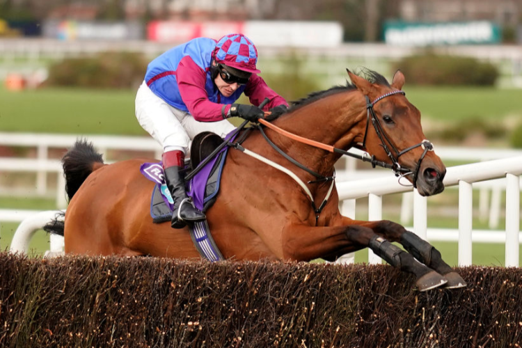LA BAGUE AU ROI winning the Flogas Novice Chase at Leopardstown in Dublin, Ireland.
