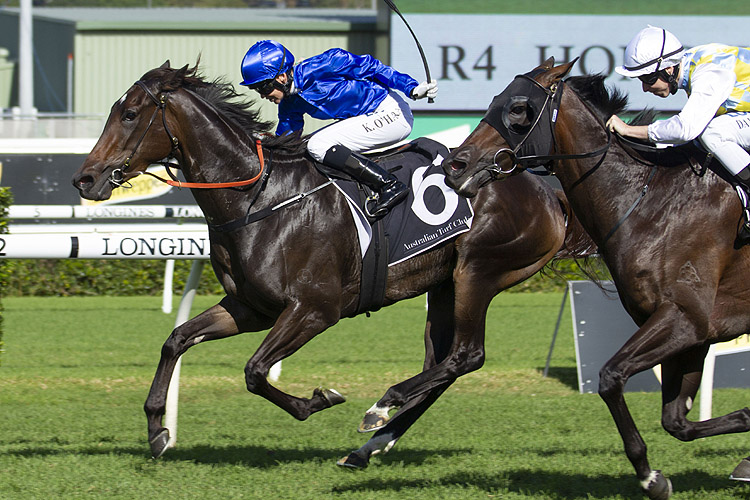 Laburnum winning the Hong Kong J.C. J H B Carr Stks