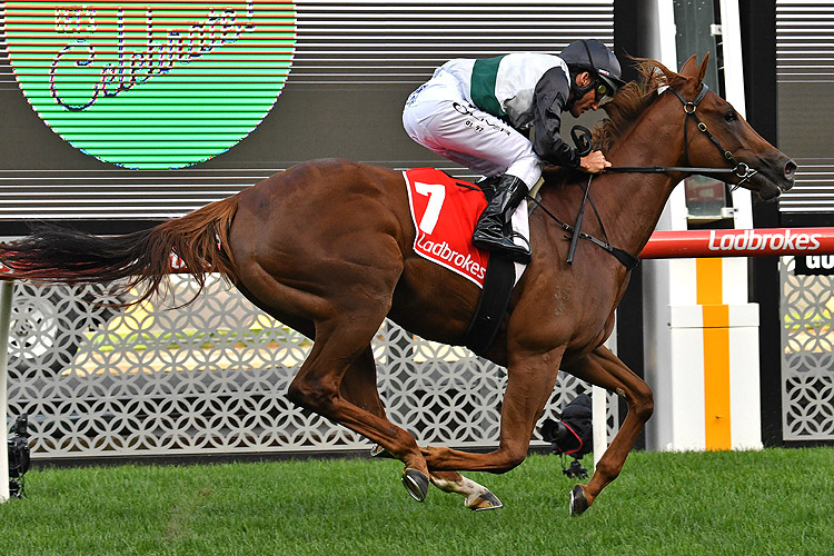 Lankan Star winning the Happy Birthday Pat Egan Mdn Lankan Star winning the Happy Birthday Pat Egan Mdn