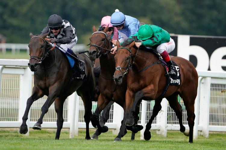 LAVENDER'S BLUE winning the Atalanta Stakes at Sandown in Esher, England.