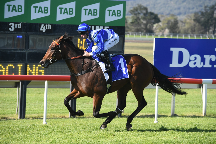 Libertini gives I Am Invincible the record Libertini gives I Am Invincible the record