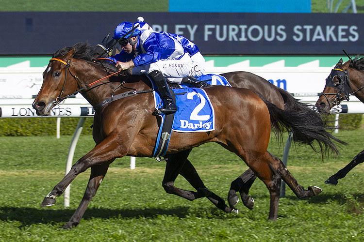 Libertini winning the Darley Furious Stakes