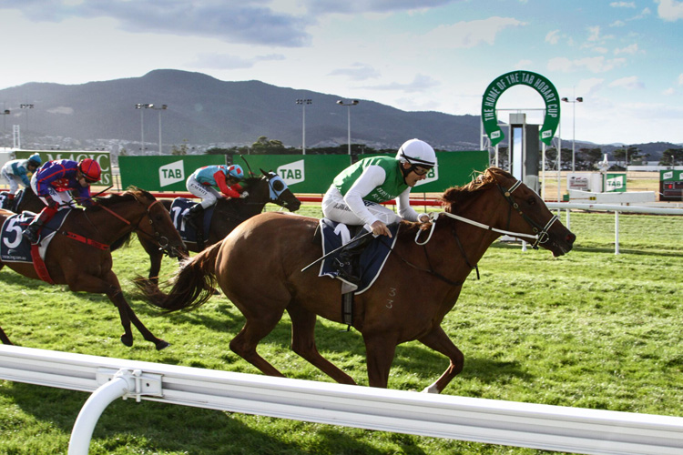 Life On The Wire wins the Bow Mistress Stakes at Elwick