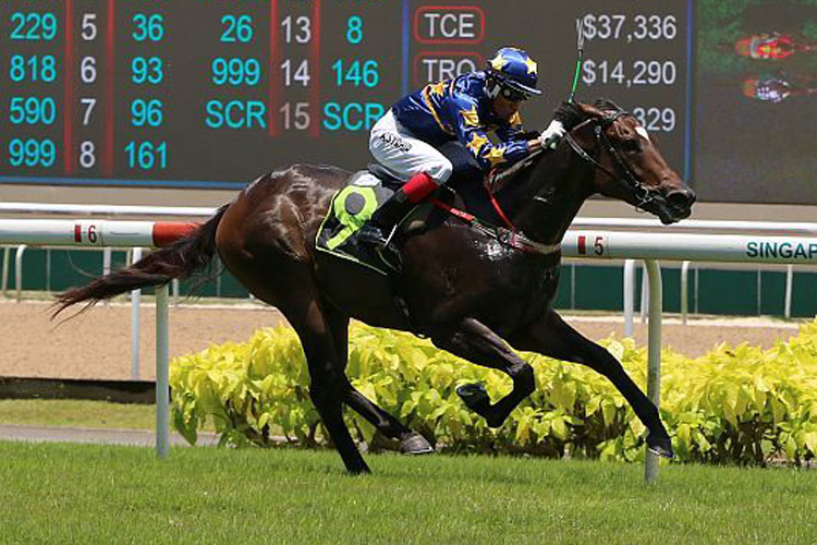 Lim's Craft winning the FOREVER YOUNG 2017 STAKES RESTRICTED MAIDEN