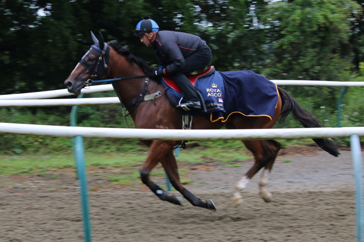 Lim's Cruiser during track work sessions at Royal Ascot in Newmarket, England.