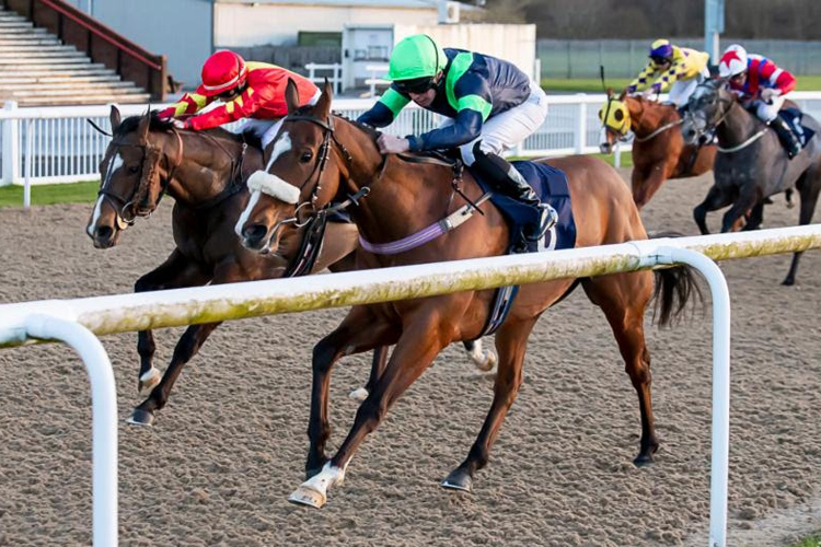 Lion Hearted (nearside) Lion Hearted (nearside)