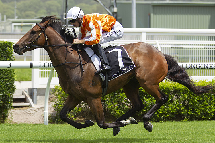 Ljungberg winning the 2019 Membership (Bm72) Ljungberg winning the 2019 Membership (Bm72)