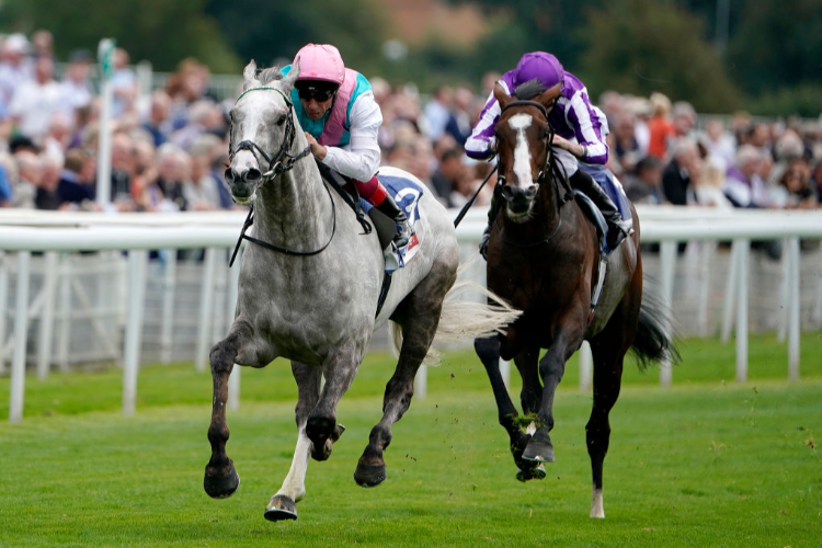 LOGICIAN winning the Sky Bet Great Voltigeur Stakes (Group 2) in York, England.