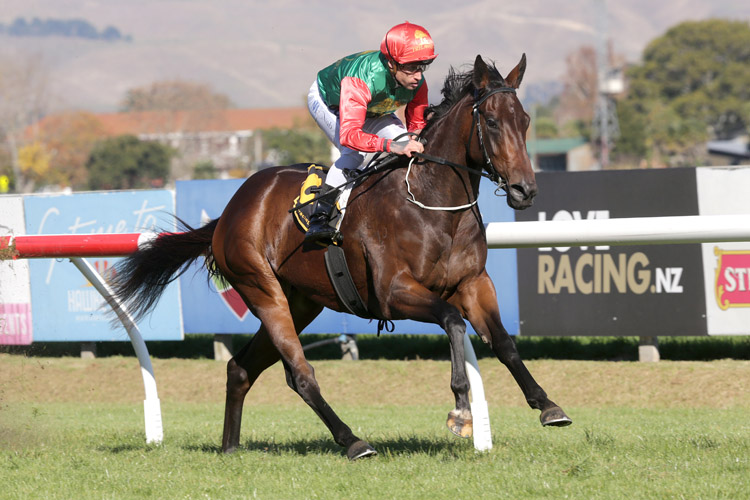 Tony Pike will line-up Loire and Kali in the Gr.3 Hawke's Bay Breeders' Gold Trail Stakes (1200m) at Hastings on Saturday.