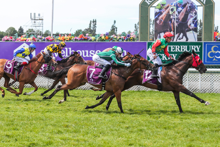 Loire winning the Gavelhouse.Com Nz 1000 Guineas