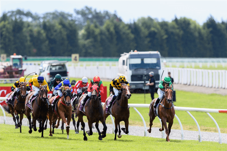 LOIRE winning the New Zealand 1000 Guineas at Riccarton Park in Christchurch, New Zealand.