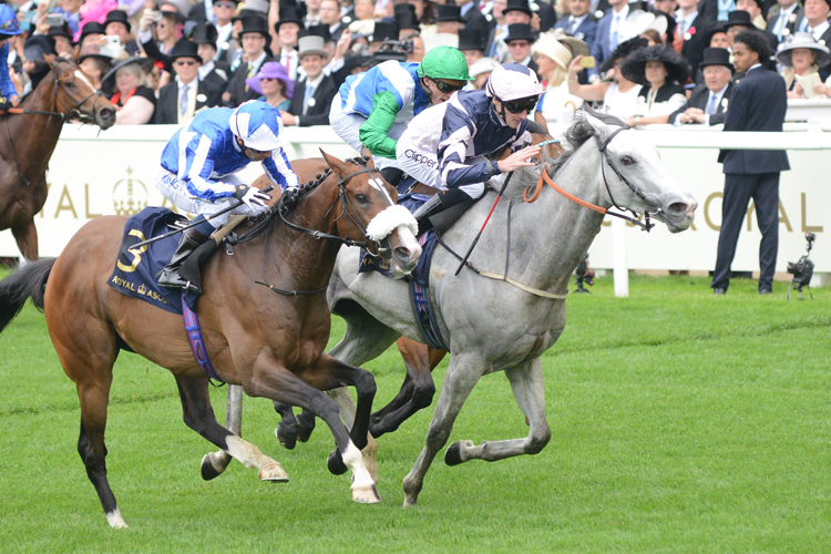 Lord Glitters winning the Queen Anne Stakes (Group 1) (Str)