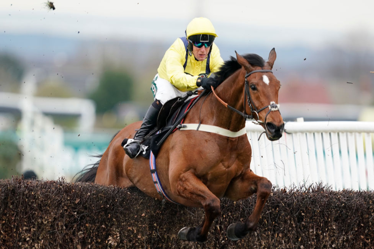 LOSTINTRANSLATION winning the Betway Mildmay Novices Chase on Ladies Day at Aintree in Liverpool, England.