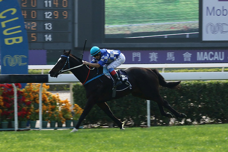 Lover Paradise winning the THE NANPING