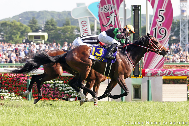 LOVES ONLY YOU winning the Yushun Himba in Tokyo, Japan.