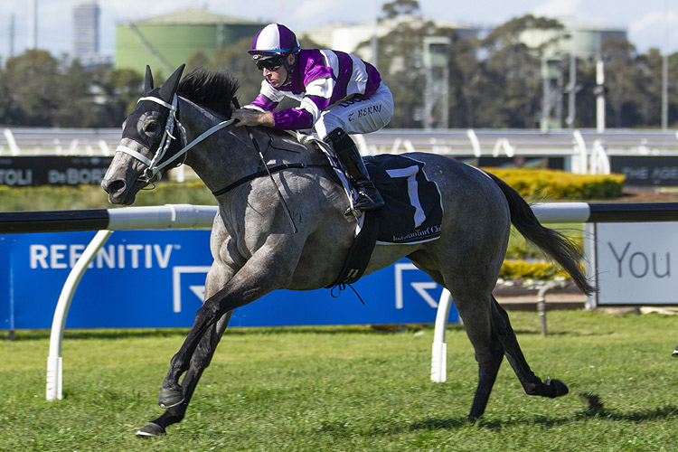 Lucicello winning the Asx Refinitiv Charity Hcp