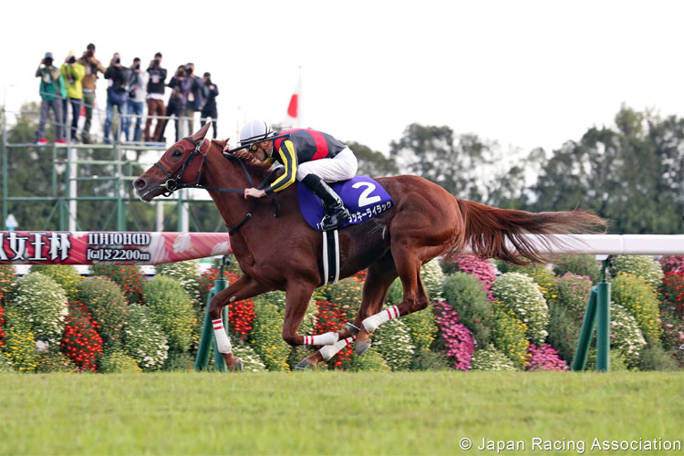 LUCKY LILAC winning the Queen Elizabeth II Cup in Kyoto, Japan.
