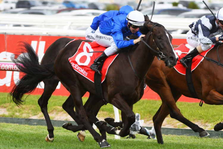 LYRE winning the Ladbrokes Blue Diamond Prelude (F) during Melbourne Racing at Caulfield in Melbourne, Australia.