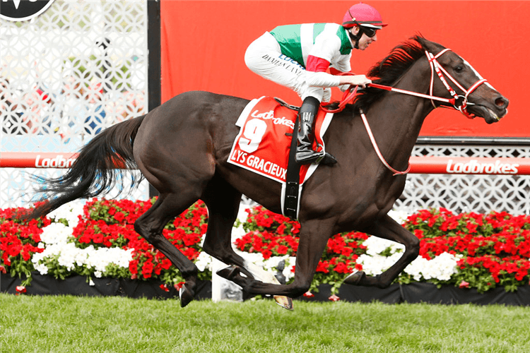 LYS GRACIEUX winning the Cox Plate at Mooney Valley in Melbourne, Australia.