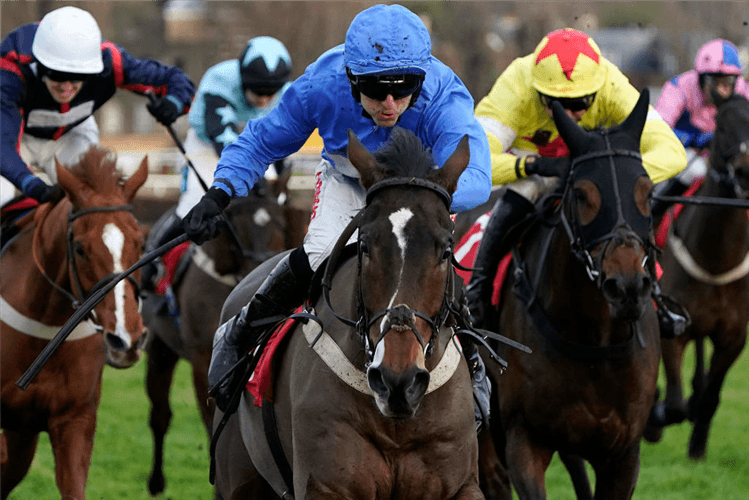 MACK THE MAN winning the Jumeirah Hotels And Resorts December Handicap Hurdle at Sandown Park in Esher, England.