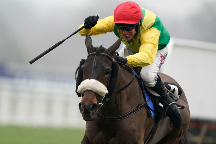 MAGIC OF LIGHT winning the OLBG.com Mares' Hurdle in Ascot, England.