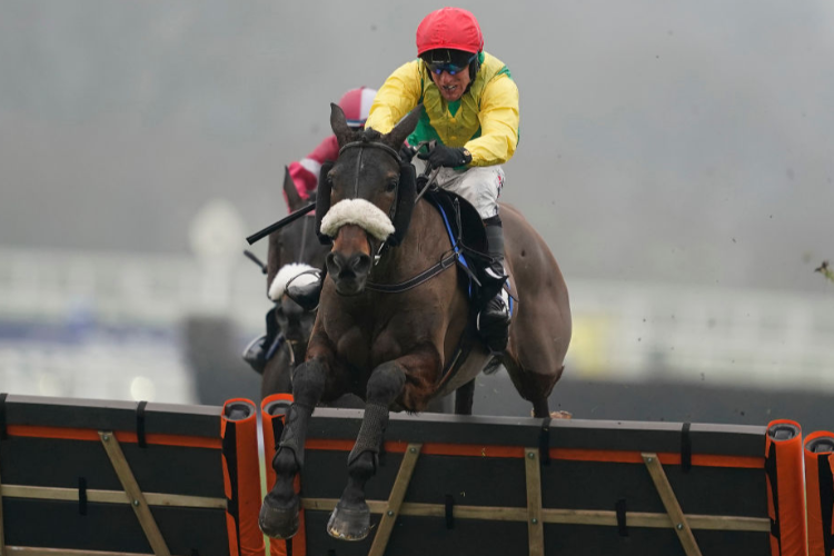 MAGIC OF LIGHT winning the OLBG.com Mares' Hurdle in Ascot, England.