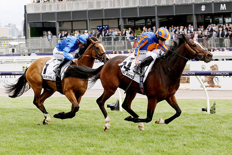 Magic Wand winning the Seppelt Mackinnon Stakes