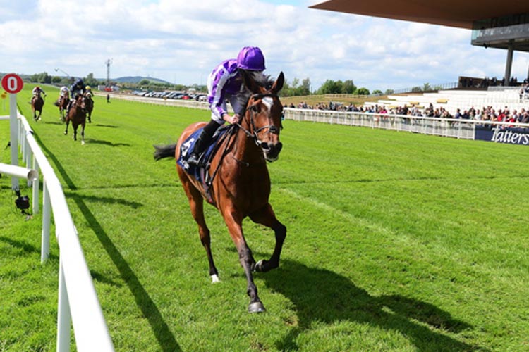 Magical winning the Tattersalls Gold Cup (Group 1)