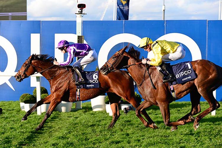 Magical winning the Qipco Champion Stakes (Group 1) (British Champions Middle Distance)