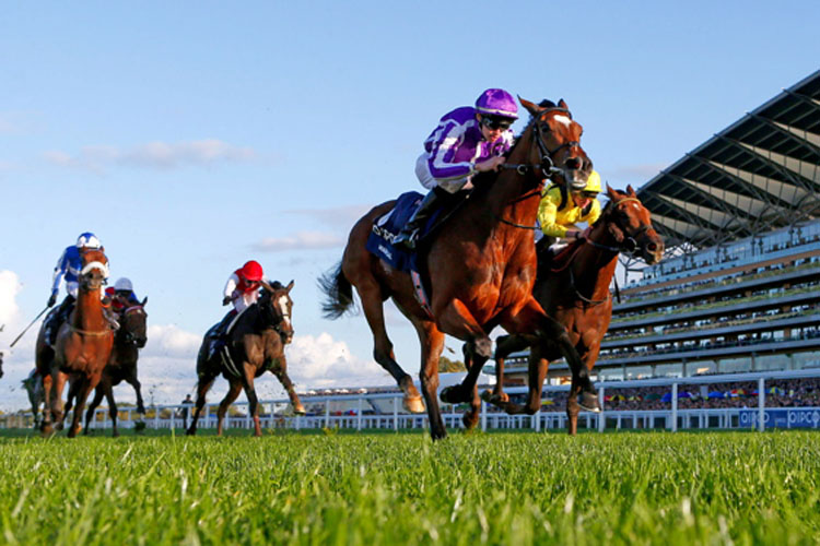 Magical winning the Qipco Champion Stakes (Group 1) (British Champions Middle Distance)