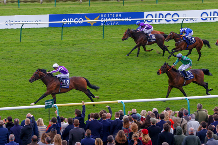 Magna Grecia winning the Qipco 2000 Guineas Stakes (Group 1)