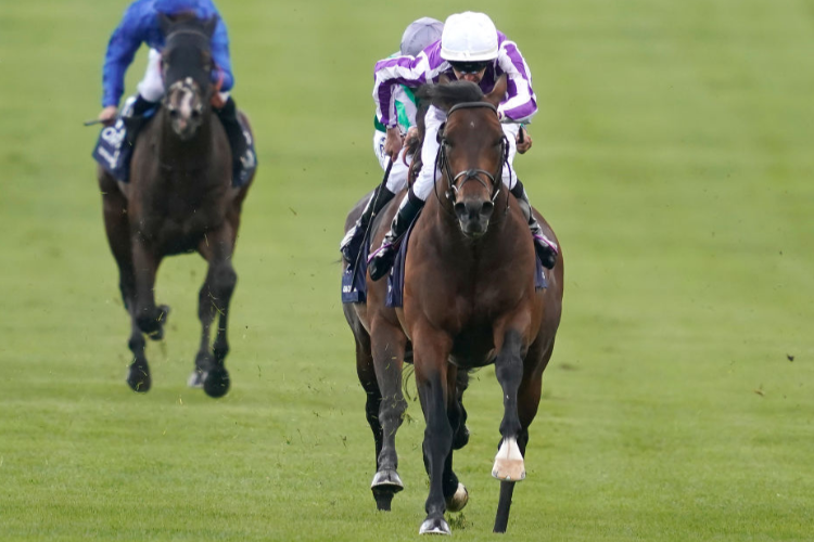 MAGNA GRECIA winning the Qipco 2000 Guineas Stakes during the QIPCO Guineas Festival in Newmarket, England.
