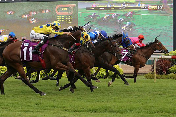 Too late again: Mr Clint (Bernardo Pinheiro, No 11) comes up short by a nose behind Makanani (Marc<br />Lerner, blue cap).